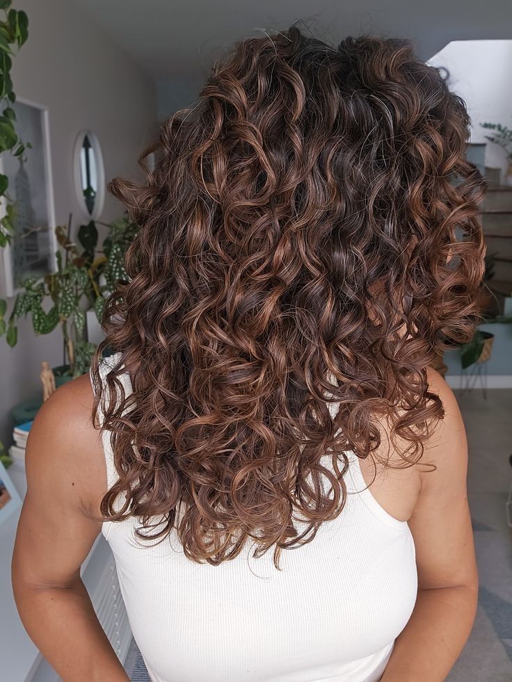 balayage-chocolate-cachos Pessoa com cabelo castanho cacheado, vestindo regata branca, de costas em ambiente interno com plantas.