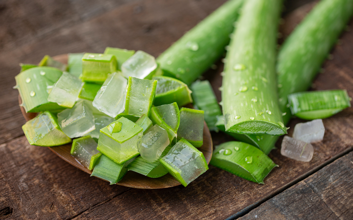Cubos de gel de aloe vera em uma colher de madeira, com folhas cortadas ao fundo, sobre superfície de madeira.