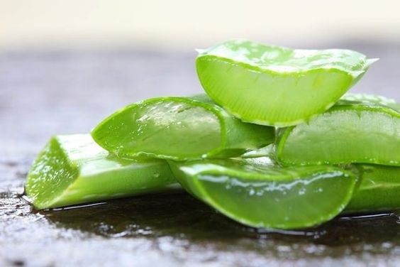 Fatias de planta suculenta com polpa transparente dispostas em superfície escura.