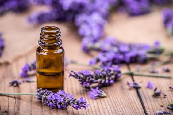 Frasco de vidro âmbar com óleo essencial, rodeado por flores roxas de lavanda sobre superfície de madeira.
