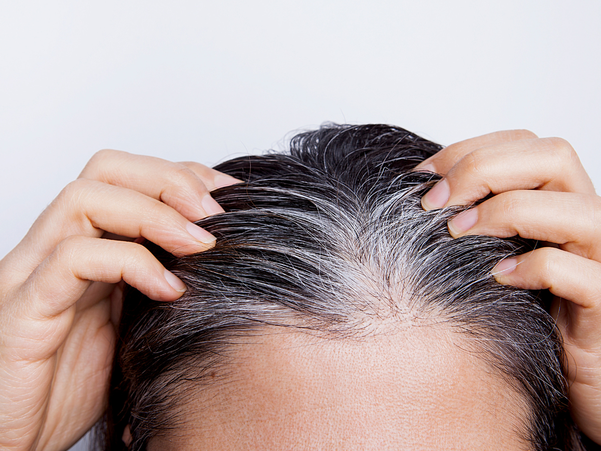 Pessoa segurando o cabelo grisalho com as mãos, mostrando a raiz e o couro cabeludo.